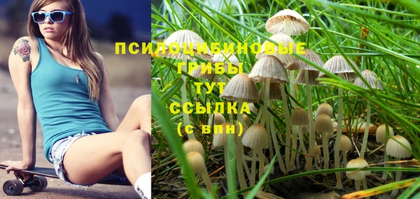прущая мука Волоколамск